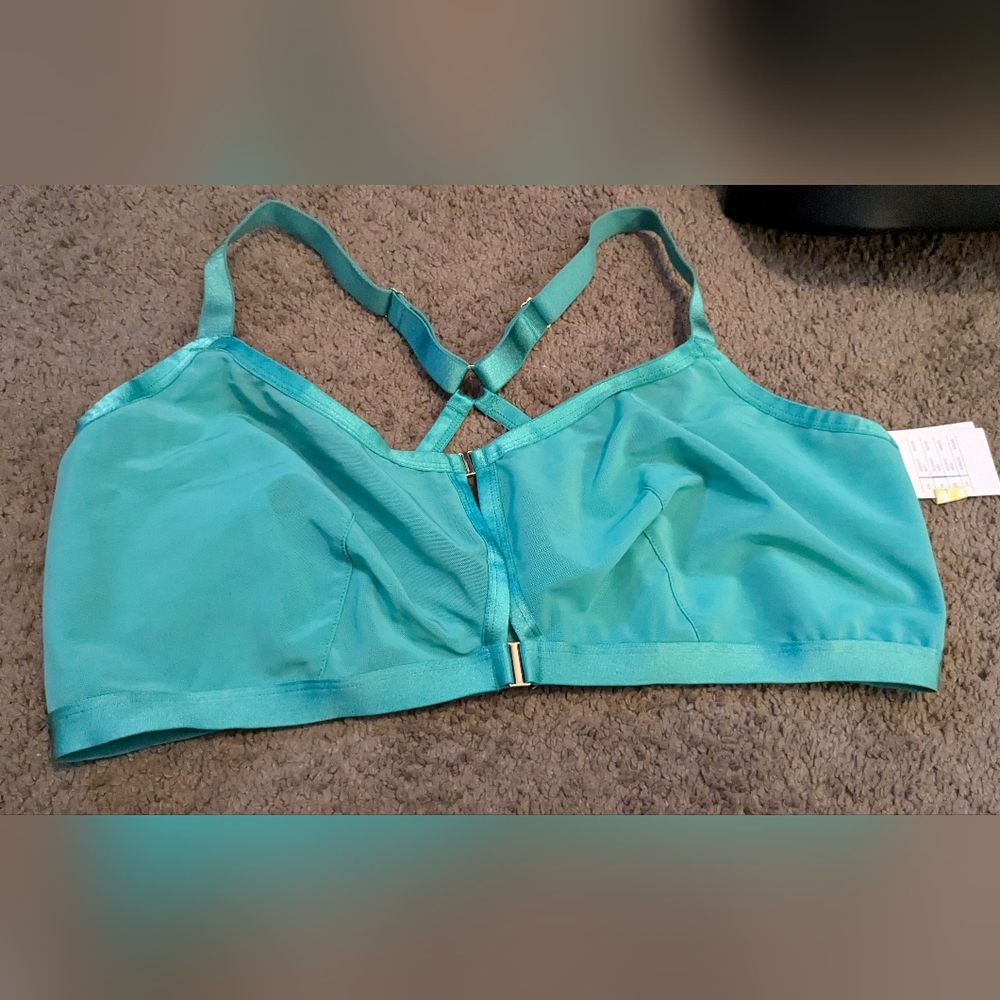 Sheer green bra